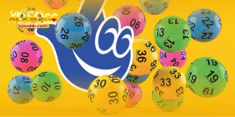 Dàn Đề Số 36 Bất Tử XOSO66 – Bí Quyết Chọn Số May Mắn Hàng Ngày 7 Áp dụng chiến thuật để tối đa thắng.
