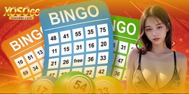 Người chơi theo dõi và đặt cược Xổ Số 66 trực tiếp trên điện thoại