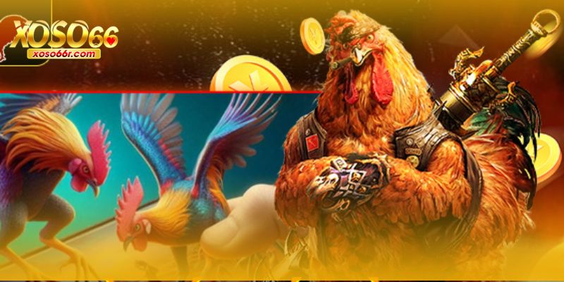 Đá Gà XOSO66 – Trải Nghiệm Cá Cược Trực Tuyến Đỉnh Cao 6 Sảnh Đá Gà XOSO66 liên kết với casino