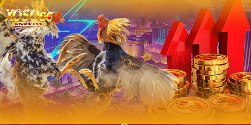 Đá Gà XOSO66 – Trải Nghiệm Cá Cược Trực Tuyến Đỉnh Cao 4 Sảnh Đá Gà XOSO66 với các trận đấu trực tuyến
