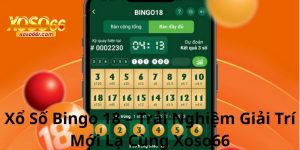 Xổ Số Bingo 18 – Trải Nghiệm Giải Trí Mới Lạ Cùng Xoso66